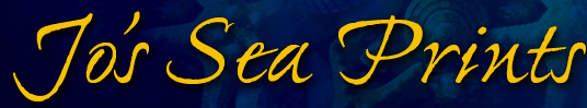 Jo's Sea Print Logo